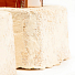 Obraz Detail povrchu houbového obalu na víno